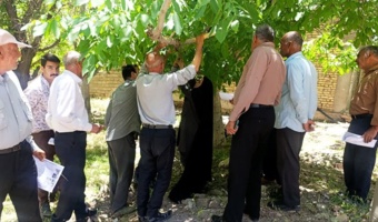 برگزاری کارگاه آموزشی مبارزه با آفت کرم خراط در روستای گریک