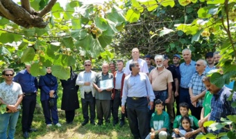 محتوای غنی از بیماری‌ها تا تغذیه گیاهی