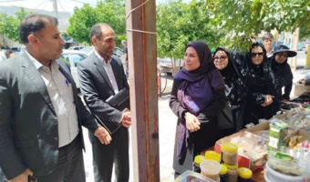 بازدید مدیرکل دفتر توسعه فعالیتهای کشاورزی زنان روستایی از طرح‌های نوآورانه در ایلام