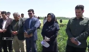 حضور معاون پژوهشی مرکز تحقیقات کشاورزی گلستان در رویداد آموزشی روز مزرعه بروجرد