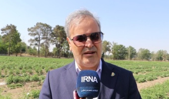 ۱۰ هزار هکتار اراضی کشاورزی کشور زیر پوشش آبیاری هوشمند قرار گرفت