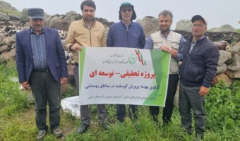 بهبود ۱۵ درصدی تولید بره در گله‌های روستایی و عشایری سبلان