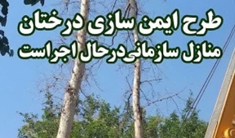 اجرای طرح هرس و ایمن‌سازی درختان چنار در منازل سازمانی موسسه رازی
