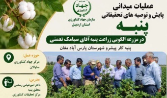 آموزش‌های مزرعه‌محور، زمینه‌ساز افزایش بهره‌وری تولید پنبه است