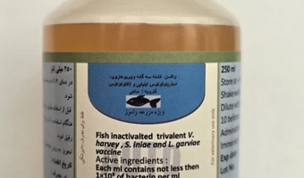 موفقیت شعبه شیراز موسسه رازی در ساخت نخستین واکسن سه‌گانه آبزیان کشور؛ پروانه تولید صادر شد