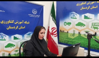 برگزاری برنامه آموزشی «ارتقای بهره‌وری در زراعت کلزا» در شبکه آموزش کشاورزی کردستان