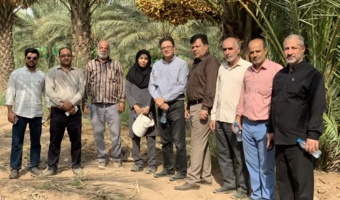 بازدید معاون برنامه‌ریزی و پشتیبانی مؤسسه تحقیقات علوم باغبانی از کلکسیون و نخلستان پژوهشکده خرما