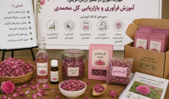 آموزش فرآوری و بازاریابی گل محمدی به زندانیان سمنان