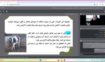 برگزاری دوره آموزشی مدیریت لنگش در گاوهای شیری