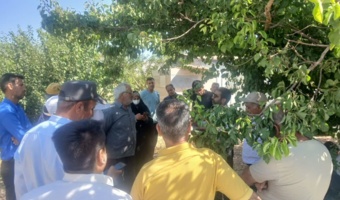 برگزاری کارگاه عملی  دوره هرس، پیوند و سرشاخه‌کاری در روستای بازنه شهرستان شازند