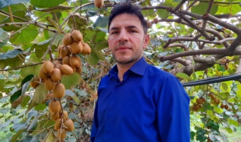 برآورد رشد بهره وری عوامل موثر بر تولید کیوی مازندران توسط پژوهشگر پژوهشکده مرکبات و میوه‌های نیمه‌گرمسیری
