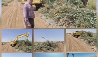 آغاز عملیات لایروبی زهکش‌های منتهی به پژوهشکده خرما و میوه‌های گرمسیری