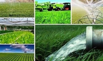 از ۱۱۲ به ۱۴۰ پروژه؛ شتاب فعالیت‌های تحقیقاتی کشاورزی در آذربایجان شرقی