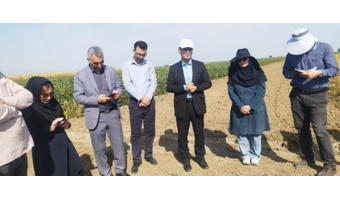 یازدهمین کاروان ترویج بهره‌وری الگوی کشت ملی در پارس‌آباد مغان به راه افتاد