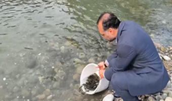 ۷۷۳۶ قطعه بچه‌ماهی آزاد در رودخانه چشمه‌کیله تنکابن رهاسازی شد