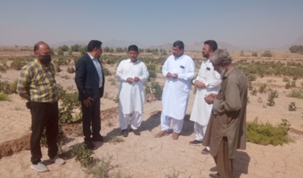 بازدید کارگروه یاوران تولید از مزارع منطقه کلکلی شهرستان خاش