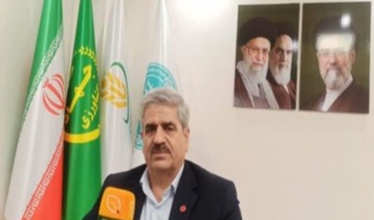 ظرفیت جایگزینی بیش از ۳.۵ میلیون تن ذرت با منابع خوراکی داخلی فراهم شد