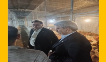 بازدید معاون پژوهشی سازمان تات از پروژه‌های تحقیقاتی مؤسسه تحقیقات علوم دامی کشور
