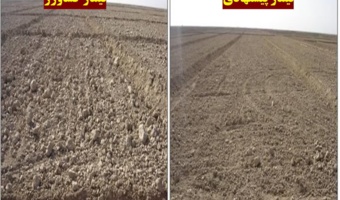 نقش بهینه‌سازی ابعاد کرت‌های آبیاری در افزایش بهره‌وری مزارع گندم تحت شرایط شور در استان خوزستان