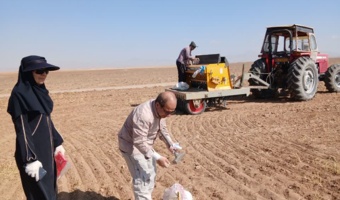 عملیات کاشت گندم در سال دوم اجرای پروژه در روستای نجف  آباد آشتیان
