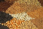 لزوم اصلاح سیاستهای واردات نهادهها