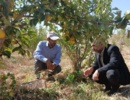 بازدید از باغات و مزارع و بررسی میزان آلودگی به جوندگان در شهرستان شاهرود