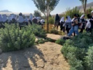 بازدید دانشآموزان از باغ گیاهشناسی زاگرس خرمآباد
