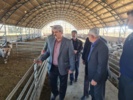 بازدید رئیس موسسه تحقیقات علوم دامی کشور از ایستگاه گاودشت