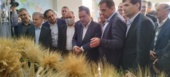 افتتاح غرفه دستاوردهای مرکز تحقیقات و آموزش کشاورزی به مناسبت هفته پژوهش با حضور استاندار