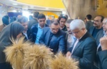 حضور مرکز تحقیقات کشاورزی گلستان در بیست‌وششمین نمایشگاه دستاوردهای پژوهش و فناوری