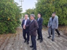 بازدید از کلکسیون باغات مرکبات و خرما و امکانات واقع در مرکز تحقیقات و آموزش کشاورزی جنوب کرمان