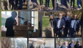 اولین سمینار تخصصی خرما با عنوان  تغذیه و مدیریت آفات نخیلات در روستای دهلسم نهبندان برگزار شد