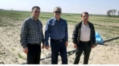 بازدید دکتر محسن سیلسپور، رئیس مرکز از پروژه هایPNT ( پروژه های طرح تحقیقاتی مشارکتی تغذیه گیاه گندم در ایستگاه تحقیقاتی خاوه )