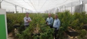 بازدید از گلخانه تولید گیاهان زینتی و گل رز