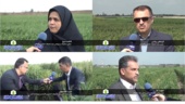 عیدی محققان مرکز تحقیقات و آموزش کشاورزی گلستان به کشاورزان در شرایط حساس جنگی