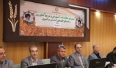 آموزش کشاورزان، کلید امنیت غذایی پایدار