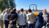 برداشت زودهنگام گندم، تلفات را افزایش می‌دهد