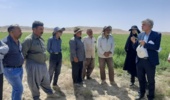 کارگاه آموزشی و بازدید میدانی در سرخه با تمرکز بر طرح پتانسیل‌یابی گندم