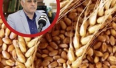 ضرورت راه اندازی بازار بین المللی در البرز / ظرفیت های قابل توجه در تولید بذر اصلاح شده