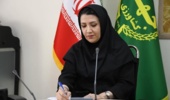 توده زراعی لرستان ترکیبی از عملکرد بالای دانه و اسانس غنی از آنتول در رازیانه