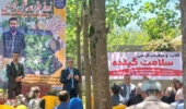 بوی گلاب در شفت