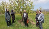 انتقال دانش گیاه‌پزشکی به باغداران اهر برای مقابله با لکه سیاه سیب