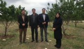 معاون پژوهش، فناوری و انتقال یافته¬های مرکز تحقیقات و آموزش کشاورزی  آذربایجان شرقی خبرداد؛