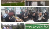 تجربه موفق یک کشاورز گیلانی
