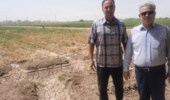 بازدید سیلسپور، رئیس محترم مرکز از ایستگاه تحقیقات کشاورزی مرکزی