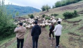 ارتقای دانش دامداران با رویکرد علمی