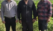 پایش نیترات و عناصر سنگین در مزارع پیاز و سیب‌زمینی شهرستان اندیمشک
