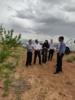 بازدید رئیس مؤسسه تحقیقات علوم باغبانی از باغ ۸۰ هکتاری بادام دیم در روستای فرج‌آباد شهرستان خمین