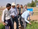 بازدید رئیس موسسه تحقیقات ثبت و گواهی بذر و نهال از مزارع تولید بذر ایستگاه تحقیقات کشاورزی اراک