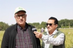 خودکفایی کامل در تولید بذر گندم و جو/ صرفه‌جویی ارزی یک میلیارد دلاری با اتکاء به تحقیقات داخلی